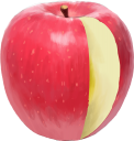 縦にカットされたりんごのイラストです。