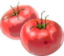 アート風のトマトのイラストです。