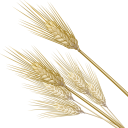 麦の穂セット