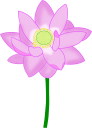 ハスの花のイラストです