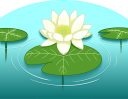 ヒツジ草のイラストです