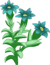 フデリンドウのイラストです